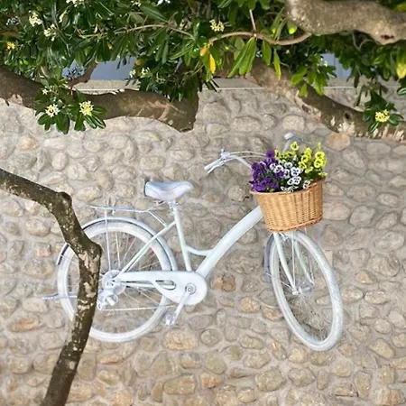 Mare * Baška Voda
